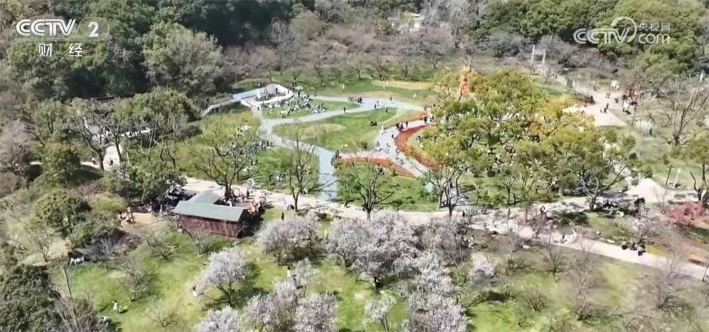 “花”经济“一路繁花”撬动文旅新消费为乡村振兴“景”上添彩(图1)