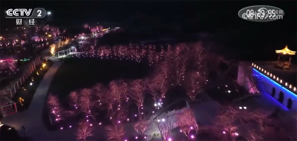 “花”经济“一路繁花”撬动文旅新消费为乡村振兴“景”上添彩(图3)