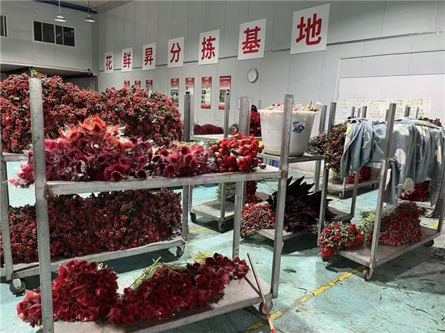 杭州花鲜昇物联科技深度响应国家提振消费政策以鲜花新零售蓝海市场赋能美好生活(图2)