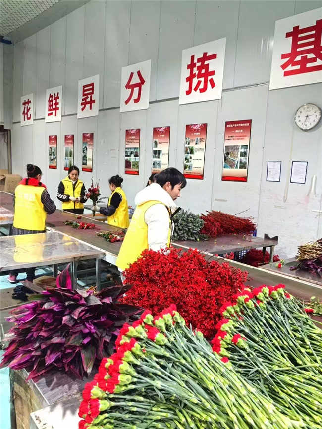 杭州花鲜昇物联科技深度响应国家提振消费政策以鲜花新零售蓝海市场赋能美好生活(图3)