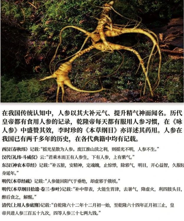 安然集团主导制定！国内首个人参不定根组培技术规程行业标准发布(图4)