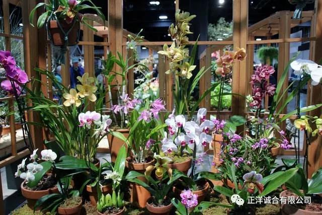 中铁快运斗南营业部：畅通“云花出滇”大动脉