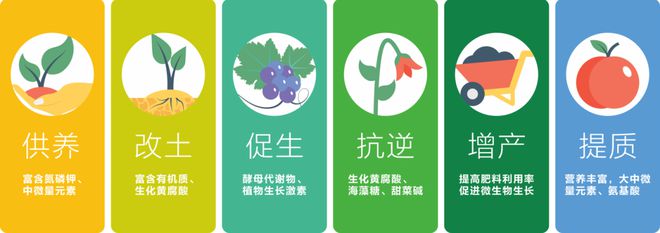 安琪福邦酵母营养肥践行农业可持续发展(图3)