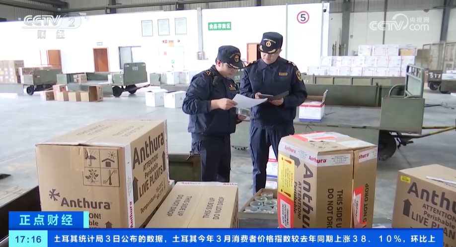 花卉消费市场崛起花卉种苗种球进口迎来高峰期(图3)