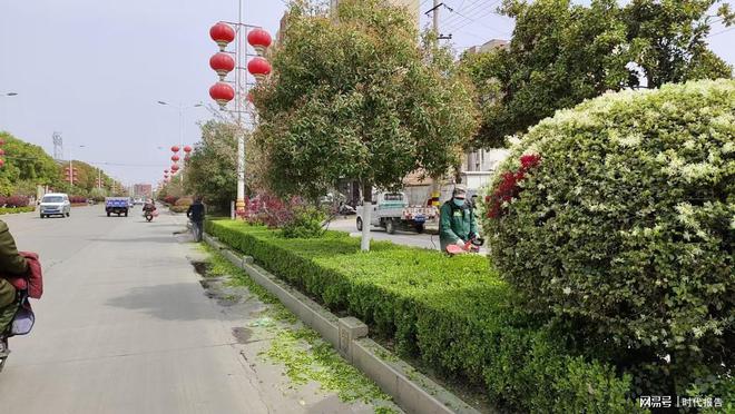 澳门永利-罗山园林：春季绿化养护“四步走”为城市梳妆换新颜(图2)
