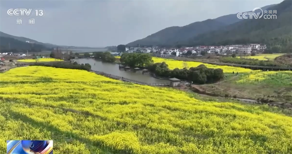 澳门永利-“花样经济”带动乡村旅游全产业链发展春日文旅市场勾勒“好花常开”画卷(图2)