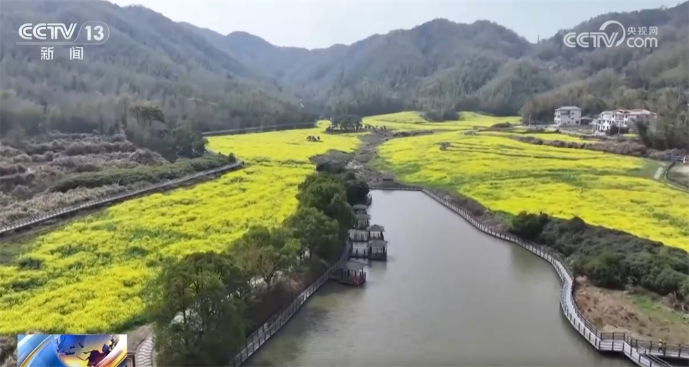 澳门永利-“花样经济”带动乡村旅游全产业链发展春日文旅市场勾勒“好花常开”画卷(图3)