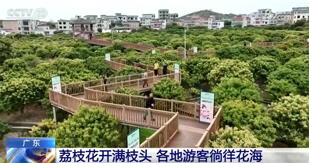 澳门永利-“花样经济”带动乡村旅游全产业链发展春日文旅市场勾勒“好花常开”画卷(图4)