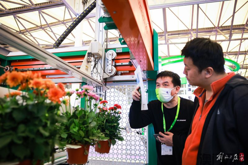 澳门永利-16个新品种获国家授权市农科院花卉育种实现新突破